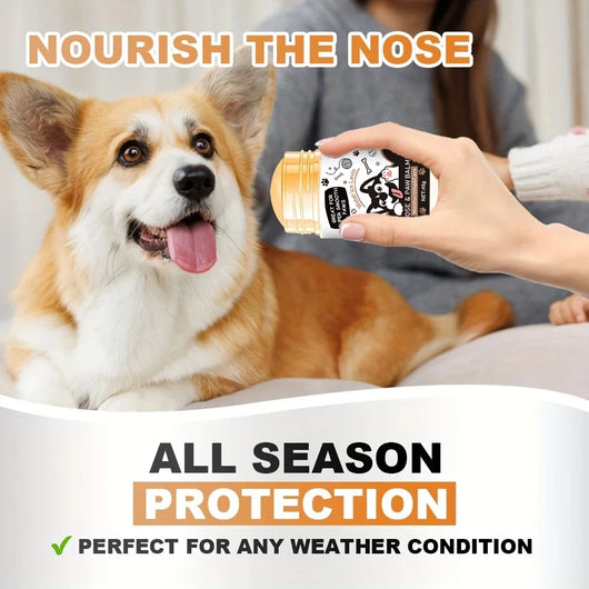 Dog Paw Balm - Lick Safe Snout Soother And Paw Moisturiser
